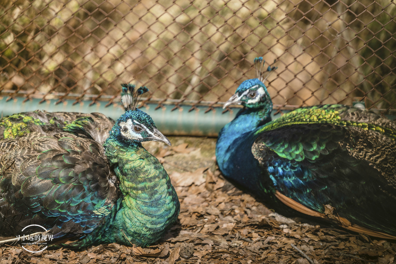 合肥万佛湖二日游攻略,合肥市区旅游攻略一日游