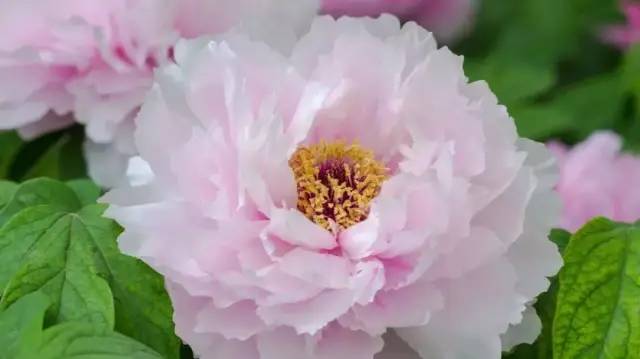 洛阳温泉什么时候开业,洛阳新区温泉