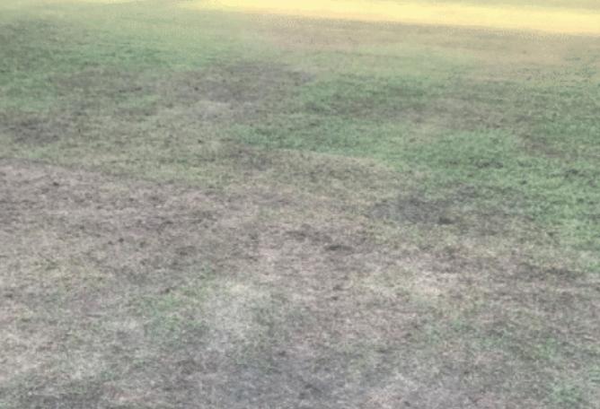 中国足球近几年的奇葩事,中国足球雷人囧事