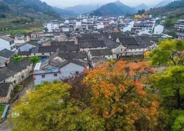 金华附近的旅游民宿推荐,金华古村古镇民宿