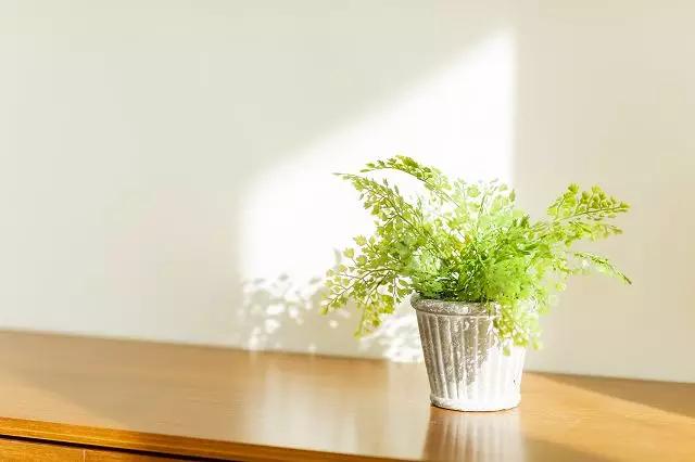 近期去日本旅游的注意事项,去日本一定要当心四大陷阱