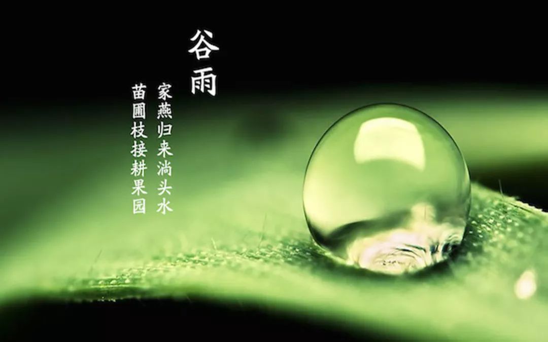 这把伞诵读完整版,这把伞是谁的英文版