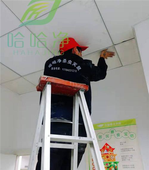 福州家庭老鼠防治公司,高新区家庭老鼠防治机构