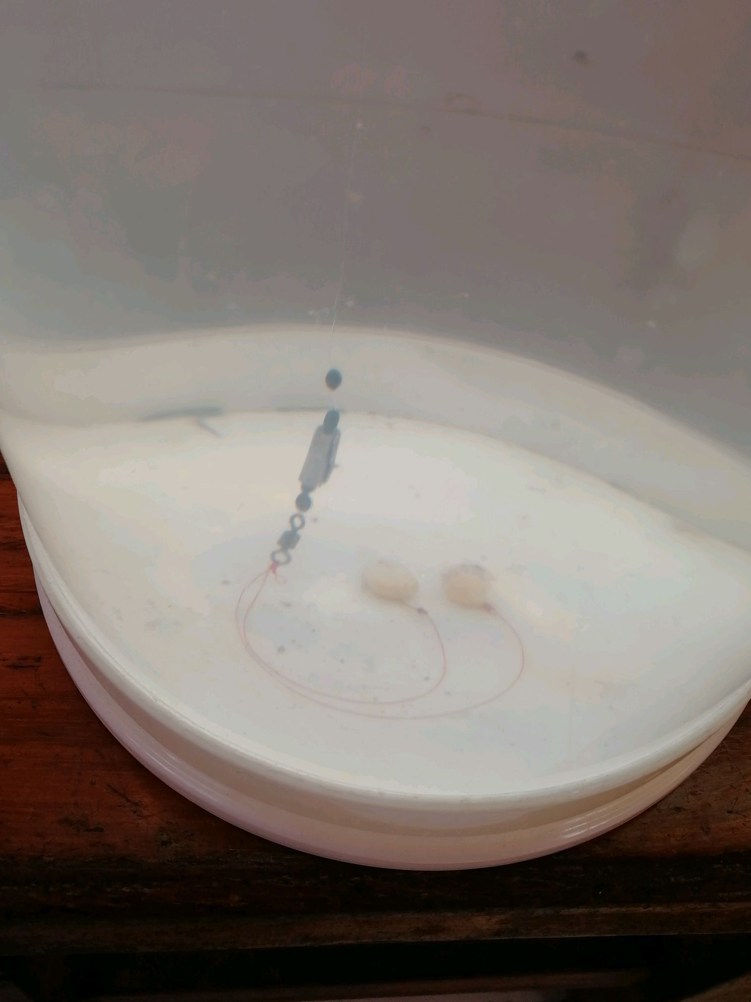 野钓最实用最快的万能调漂方法,新手野钓最简单实用调漂的方法