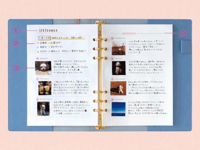 买的不仅是衣服还有快乐,买的不只是产品而有对生活的热爱