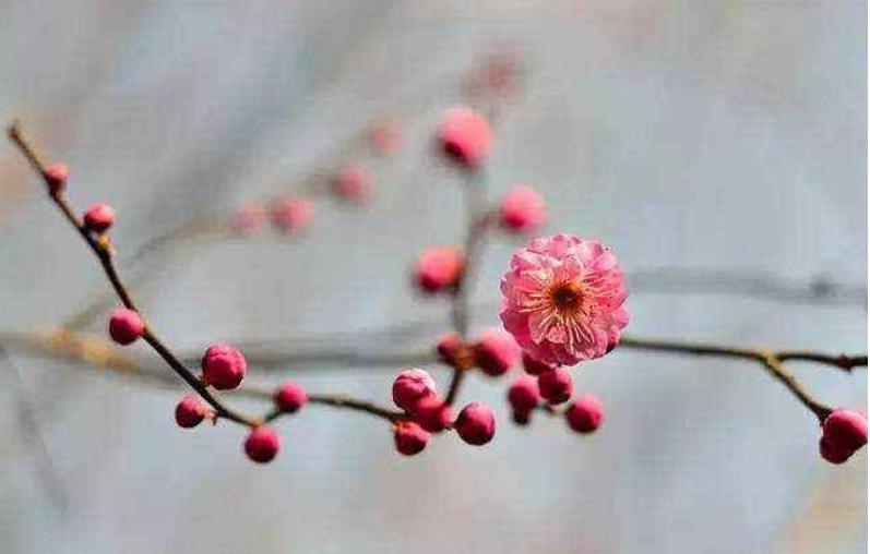 2024年几点钟进入立春节气,哪一年的立春节气是2月3日