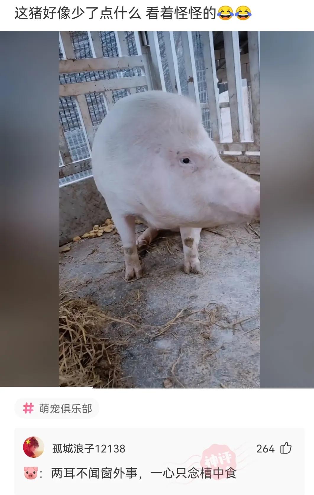 神回复城市因岁月而伟大,有钱乡下是净土没钱全是土图片