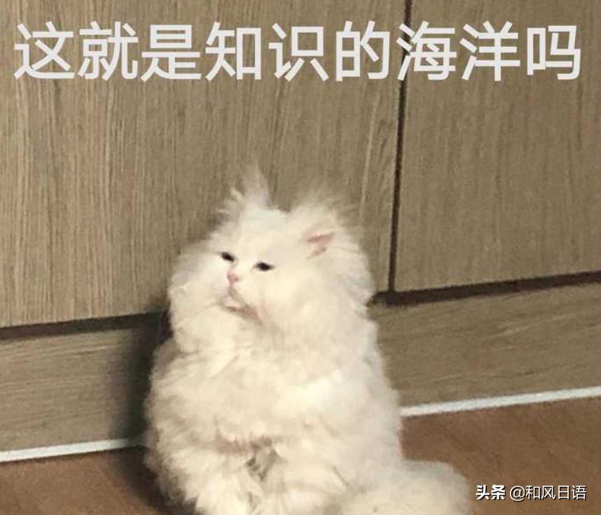 日语的金曜日是什么,日语日曜日怎么说