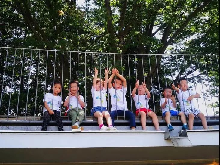 日本最棒的幼儿园,日本最顶尖的幼儿园