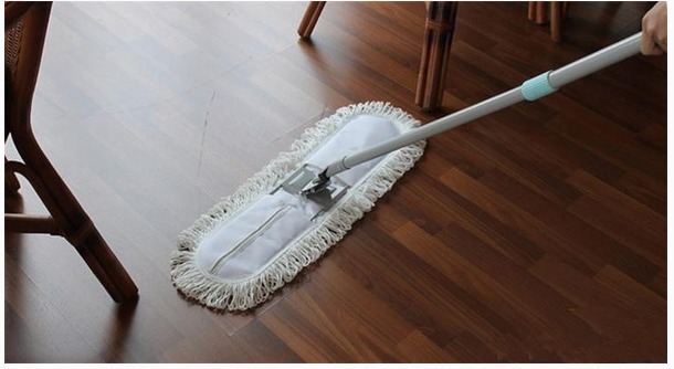 新手养猫最强攻略之日常护理篇,养猫清洁必备物品有哪些