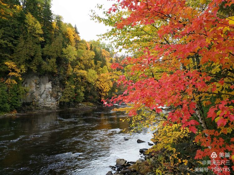 漫步魁北克体验不一样的北美风情,北美枫情蒙特利尔