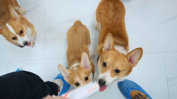 专门摸屁股的店，任摸