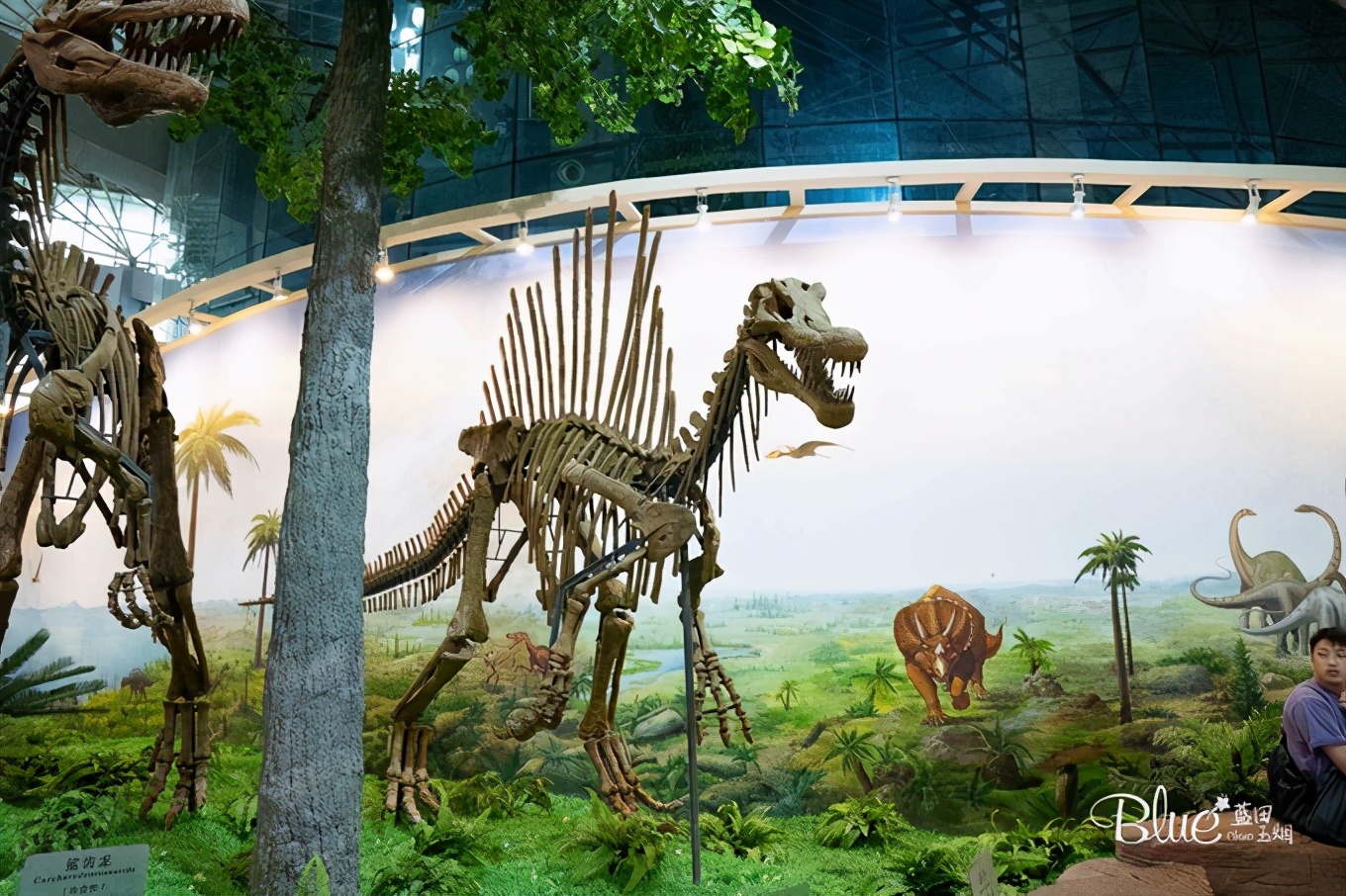 从漠河自驾到抚远镇,漠河至丹东自驾g331攻略