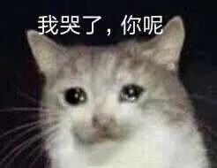 超级好看又舒服的内衣,超级舒服爆款有型内衣