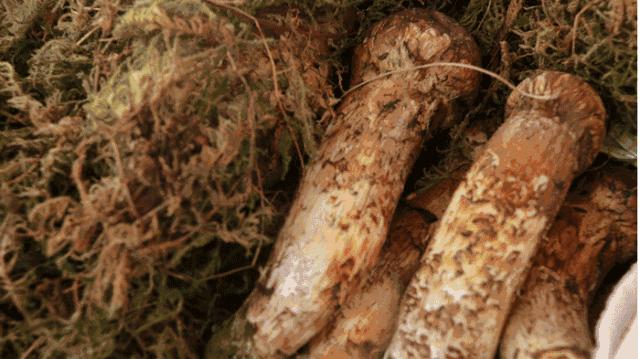 云南又在央视火了！这份云南2019新简历要藏不住了！