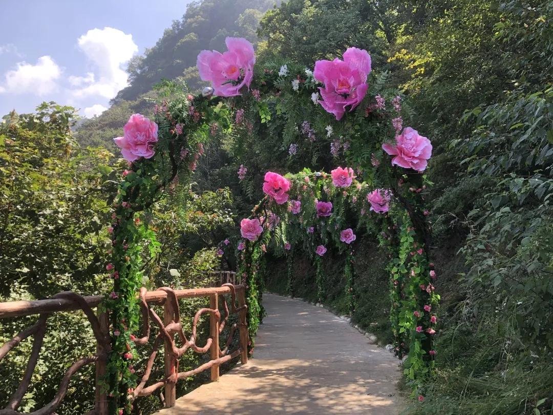 少华山冬天一日游最佳攻略,少华山国庆旅游图片