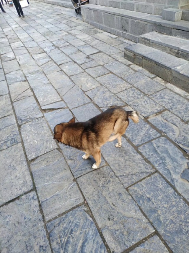 巢湖古镇之首,巢湖最值得去的古镇