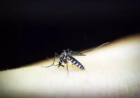 看完这个辟谣贴，我又省化妆品钱了