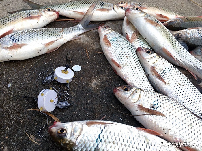 自制钓鱼钩钓鱼技巧,自制朝天钩钓鱼小窍门