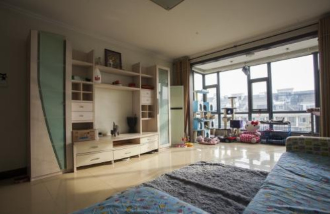 流浪猫收养注意事项洛阳,收养流浪猫幼崽注意事项