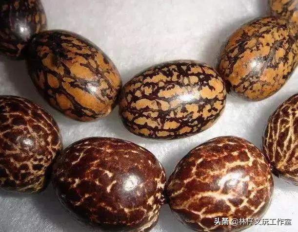 文玩菩提怎么盘好玩图解,文玩菩提入门盘什么