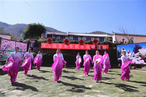 冬桃挑起农特“群英汇”，雾本丰收季电商很给力