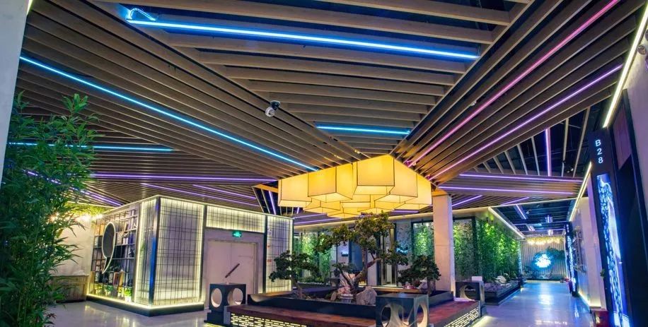 清远地标级KTV，坐拥网红时光隧道，还把热带雨林搬了过来