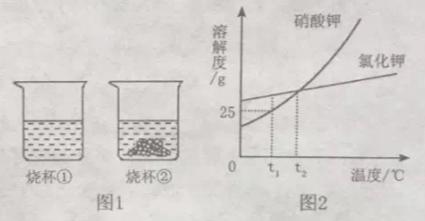 九年级下册化学溶解度曲线,初三化学溶解度溶质质量分数曲线