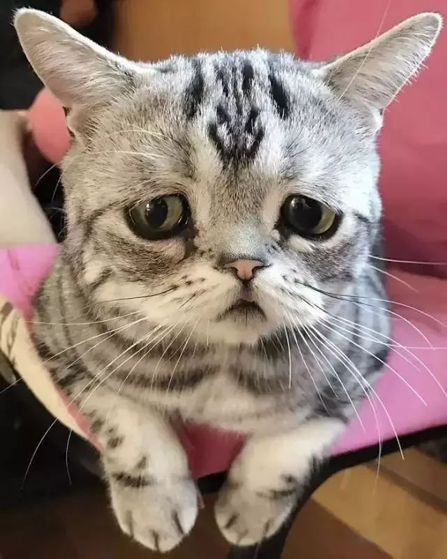 国庆刚回来,我的包包破败不堪