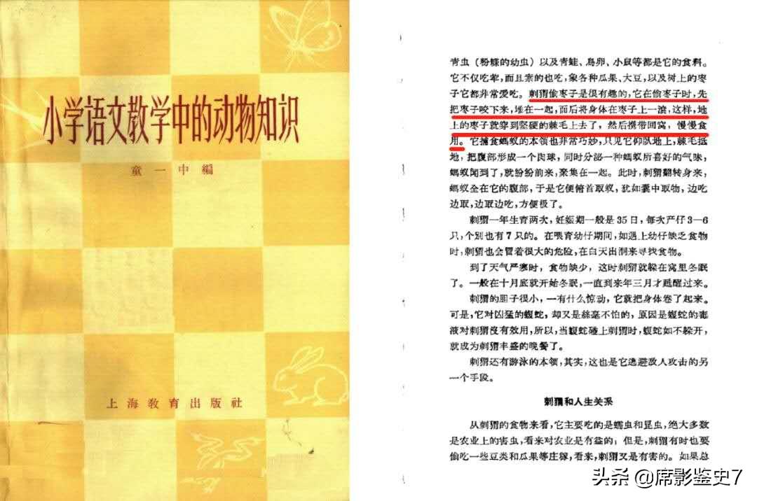 带刺的朋友课文小刺猬偷枣的过程,带刺的朋友中刺猬偷枣的过程是