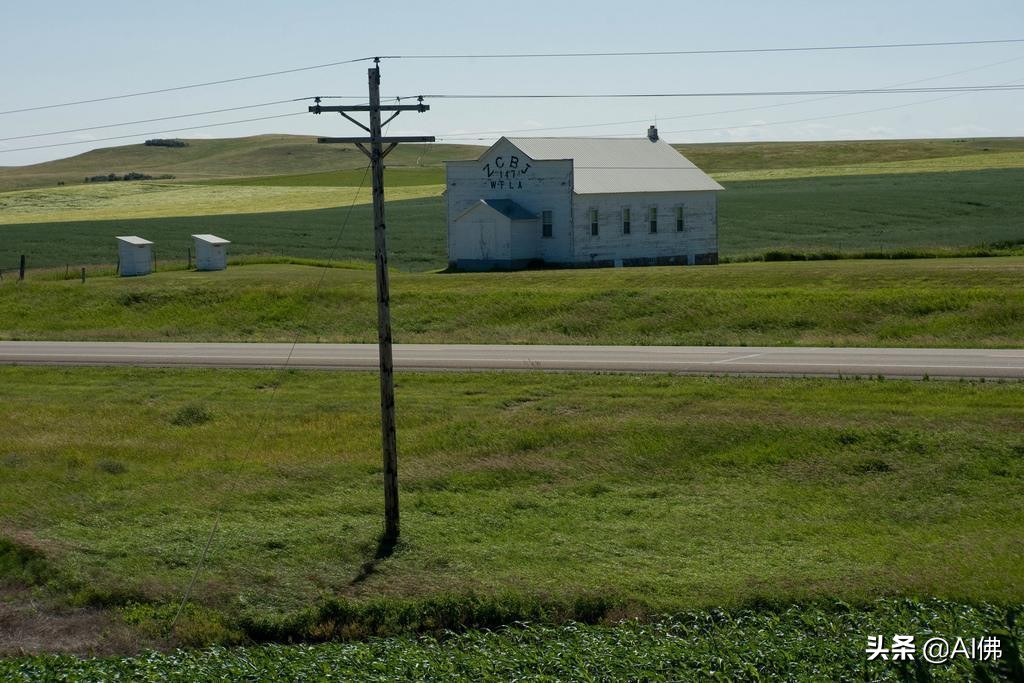 美国农田最多的州,美国哪个州的农场土地肥沃