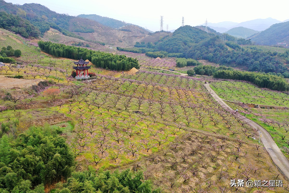 天下第一桃花源风景区,天下第一桃园图片