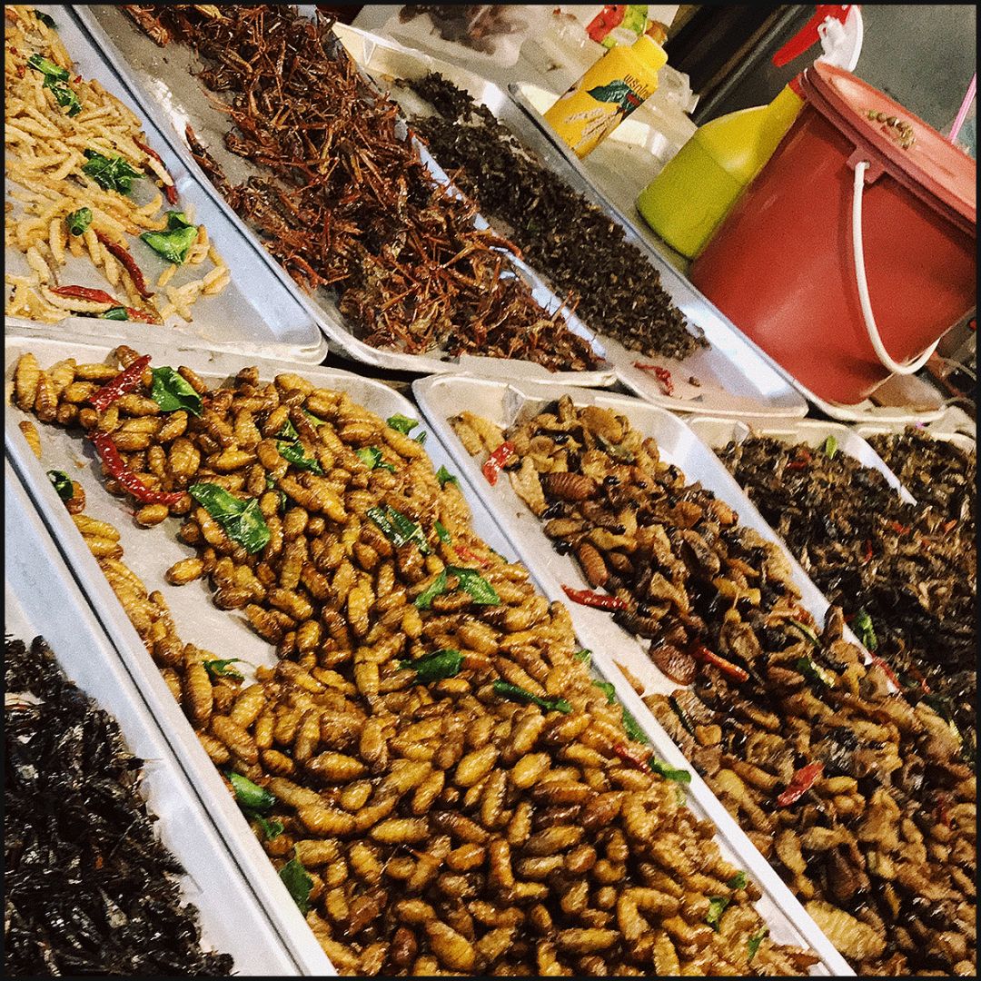 泰国吃喝玩乐全攻略,超全的泰国出行指南出门前必看