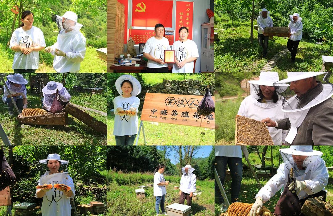 学会这3个小方法轻松买到真蜂蜜,一分钟带你如何辨别蜂蜜