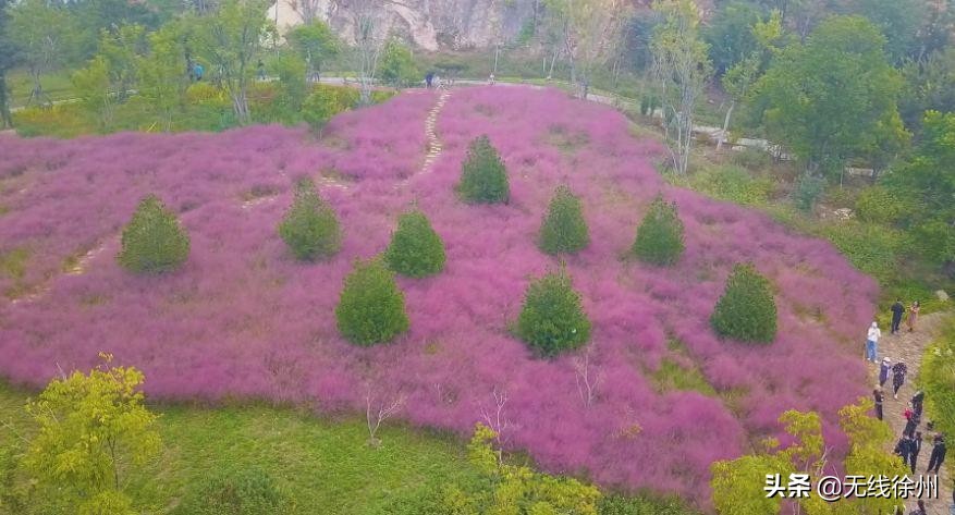 四色的徐州之秋，你最爱哪一款？