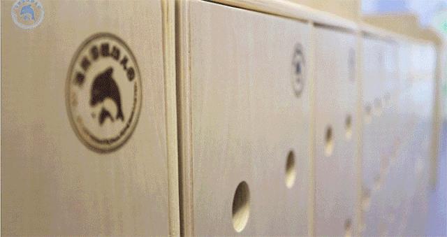 佳木斯世博国际幼儿园,佳木斯市海豚幼儿园有限公司