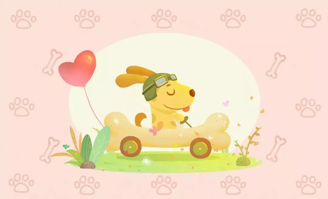 十二生肖流年运势详解,凤凰星座运势2019