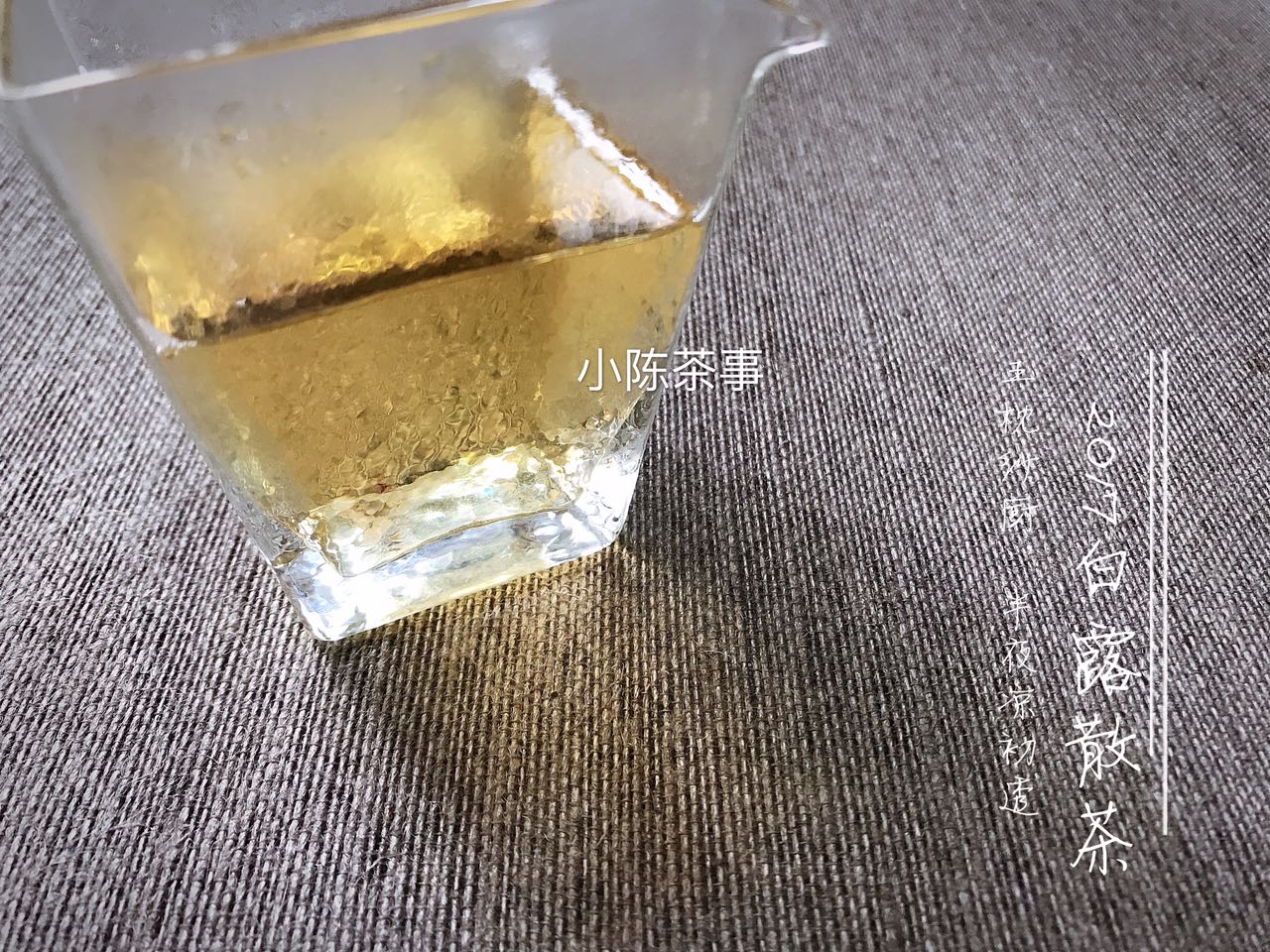白茶的正确冲泡方法用飘逸杯吗,压饼白茶飘逸杯正确冲泡方法