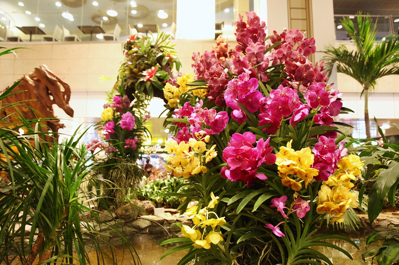 「怀念系列」新加坡|平价米其林+小众景点,3.5D我们不走寻常路3