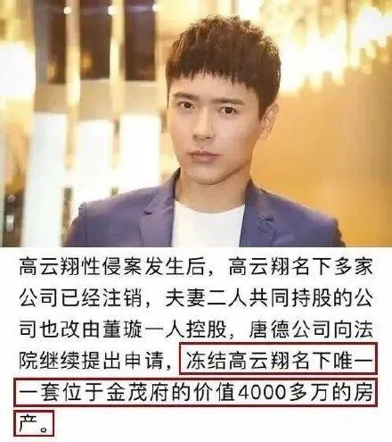 高云翔性侵案事实,高云翔因性侵案被捕