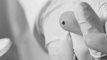 全球第一漂亮女子,揭秘全球第一女骗子