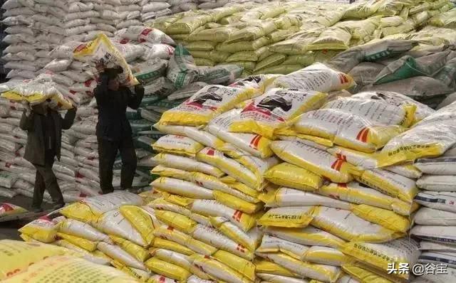 谷宝“六不用”——生态农业的初心与坚守