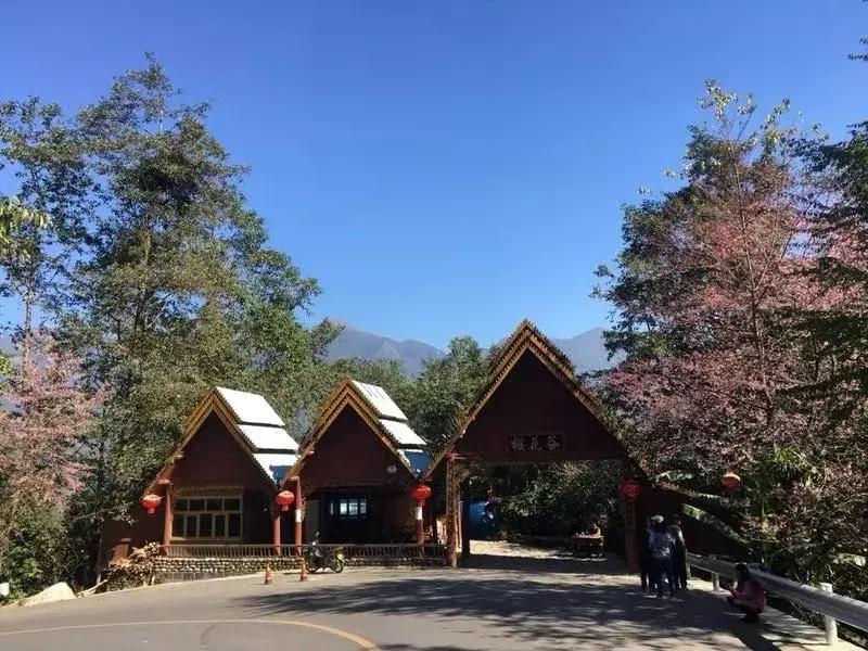 冬日浪漫初体验开启樱花谷神秘之旅