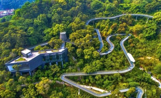 南阳宝天曼旅游景区天气,南阳宝天曼峡谷旅游