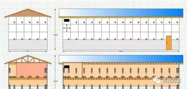 怎么判断干燕窝是否发霉,怎么辨别燕窝是否已经发霉