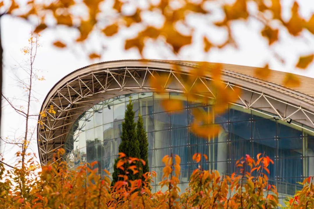 醉美大工秋|读书不觉已秋深，____________