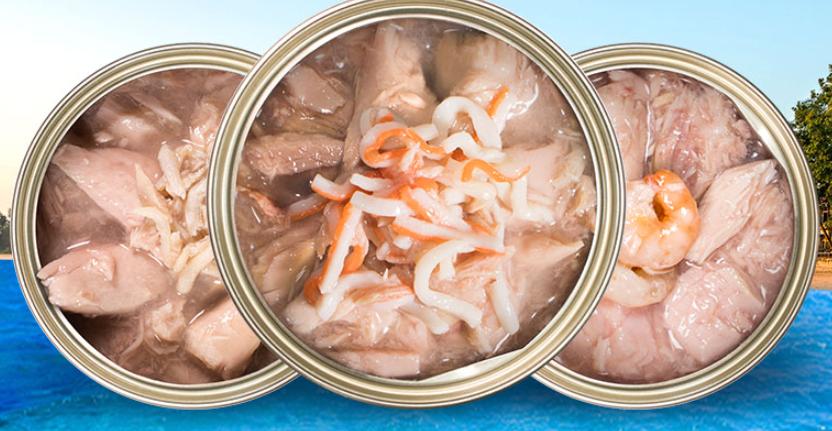 猫主食罐头品牌推荐,哪个品牌的主食猫罐头好