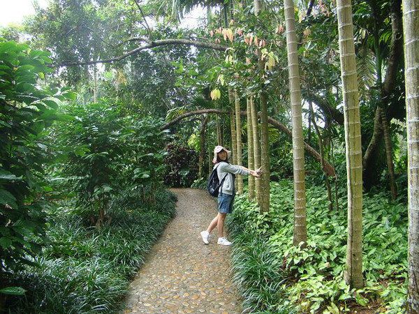 西安到三亚旅游攻略自由行费用,海南旅游攻略自由行三亚最佳路线