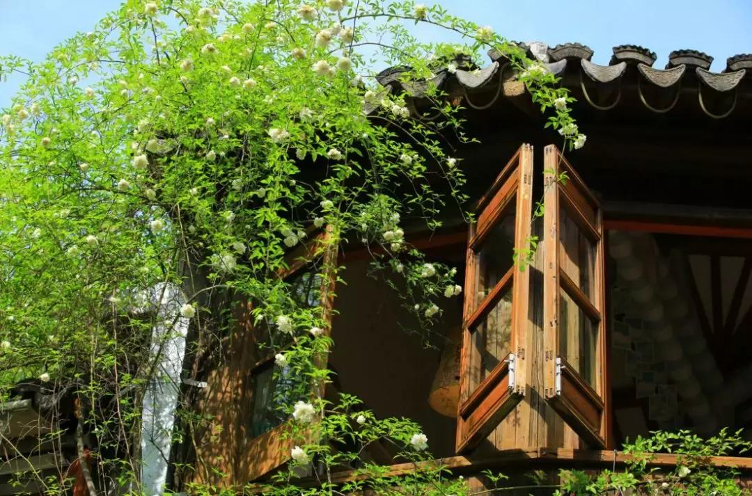 苏州五一不知道去哪里玩,五一不知道去哪就去苏州