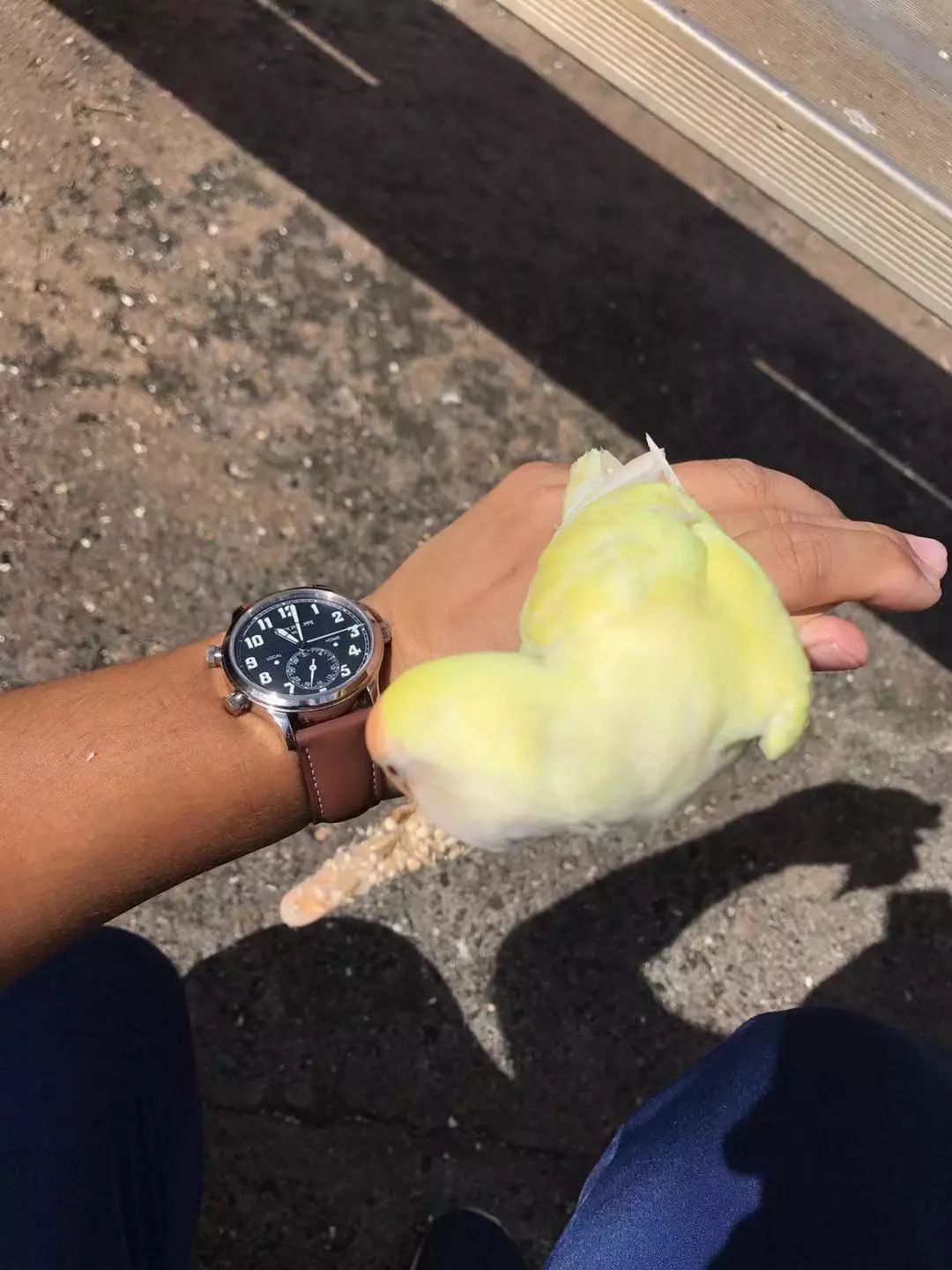 百达翡丽适合日常佩戴的腕表,10万百达翡丽